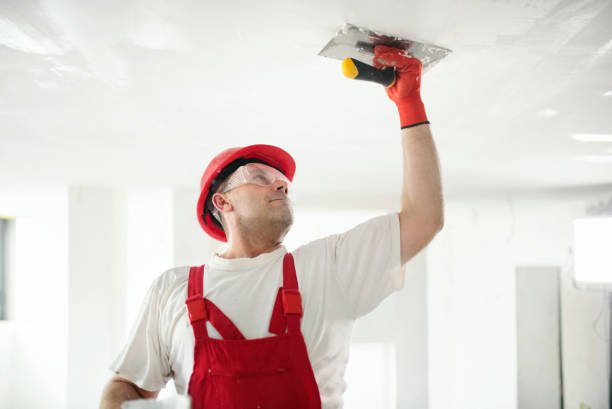 Best Post-Construction Mold Inspection  in Mead, CO