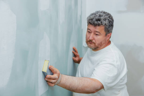 Best Mold Remediation for Healthcare Facilities  in Mead, CO