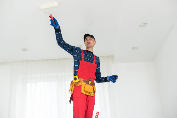 Mold Documentation for Insurance Claims in Mead, CO