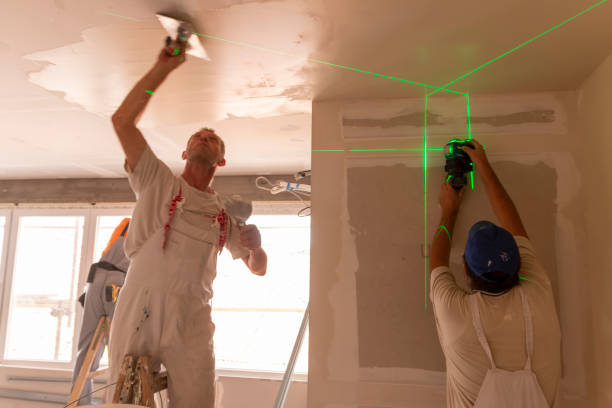 Best Attic Mold Removal  in Mead, CO
