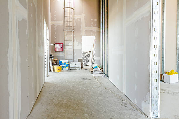 Best Mold Removal for HVAC Installations  in Mead, CO